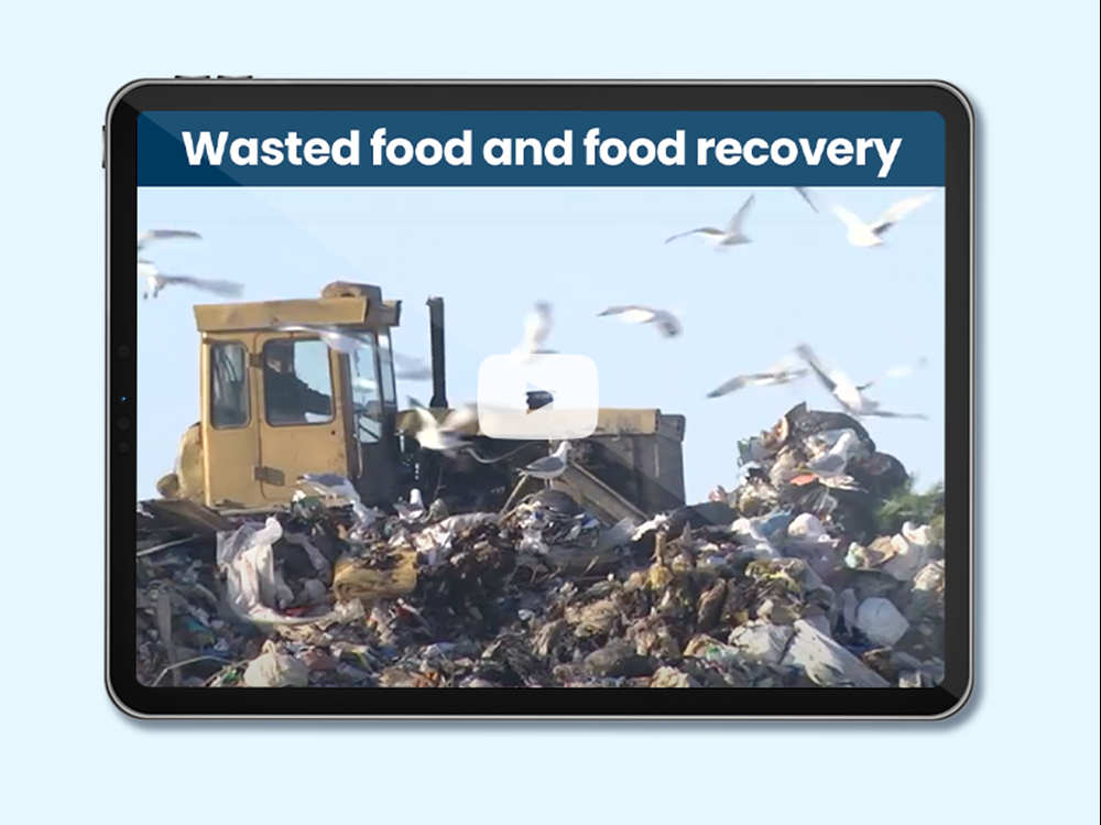 Feeding Canada Lesson 6: Wasted Food and Food Recovery