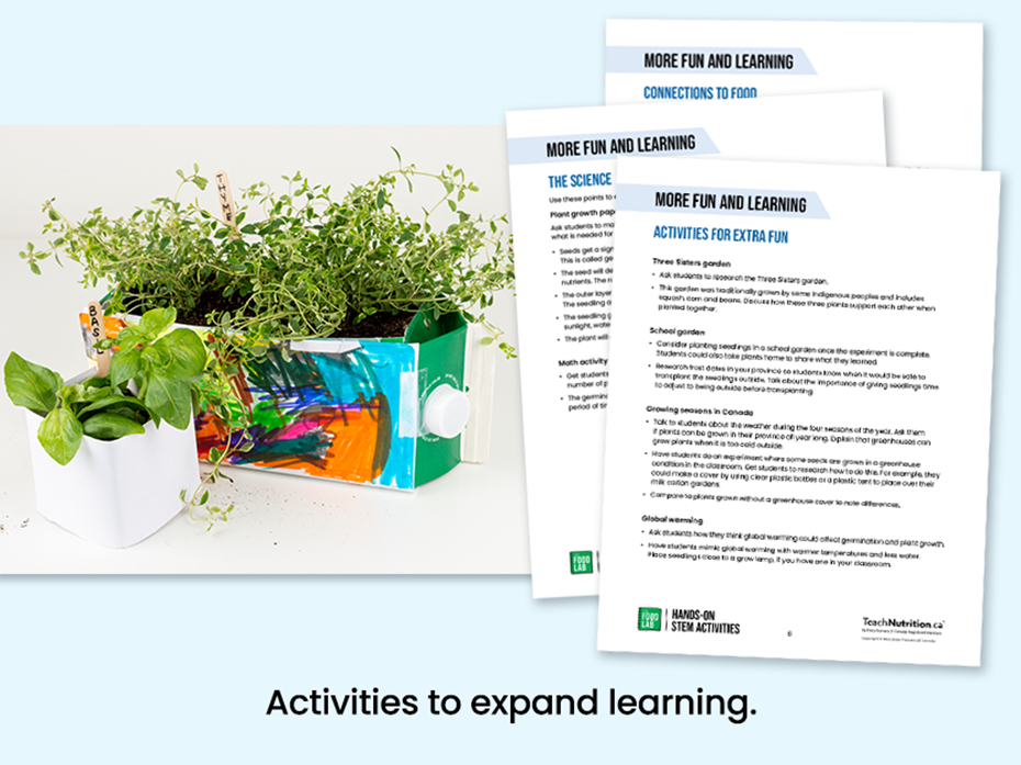 Herbs growing in a milk carton - activities to expand learning - Food lab program - STEM