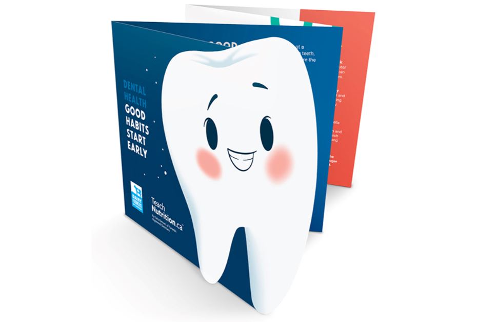 accordian brochure with an illustration of a tooth