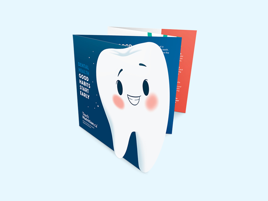 accordion brochure with an illustration of a tooth