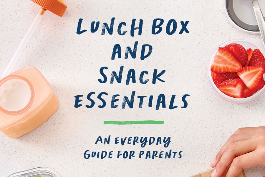 Lunch Box and Snack Essentials
