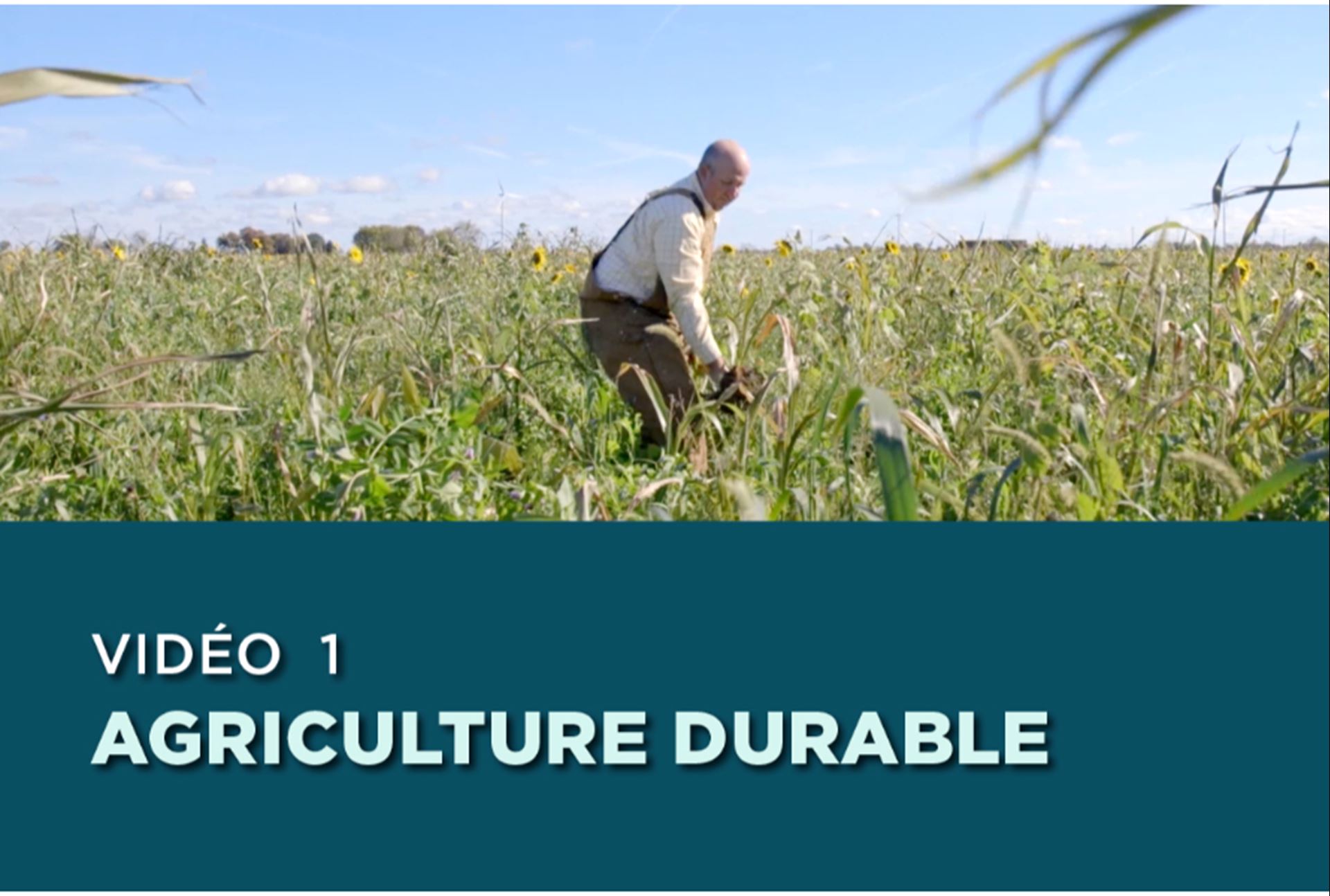Nourrir le Canada, leçon 1 : Agriculture durable 
