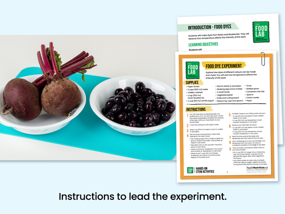 Food dyes - Beets and blueberries in bowls - Instructions to lead the experiment - Food lab program - STEM