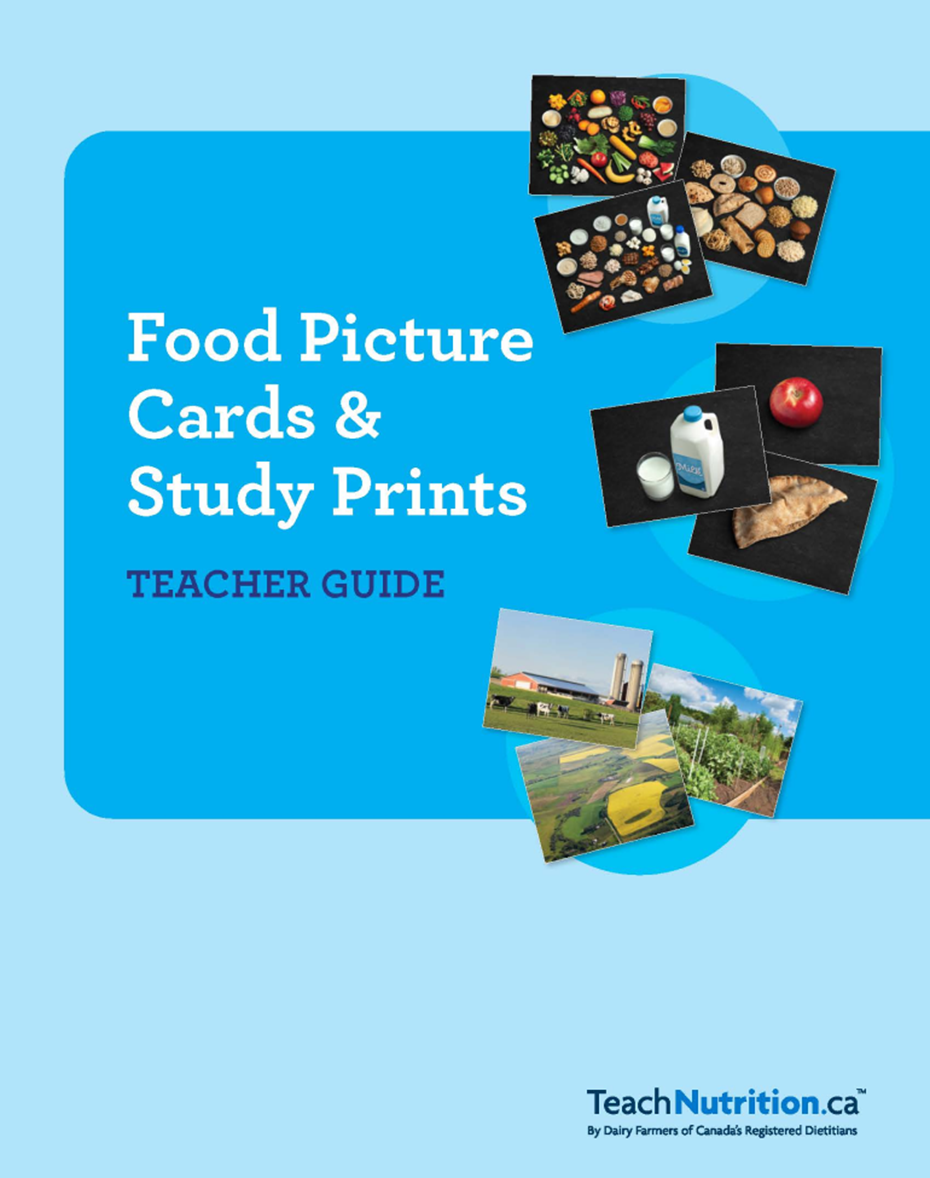 Food Picture Cards and Study Prints 