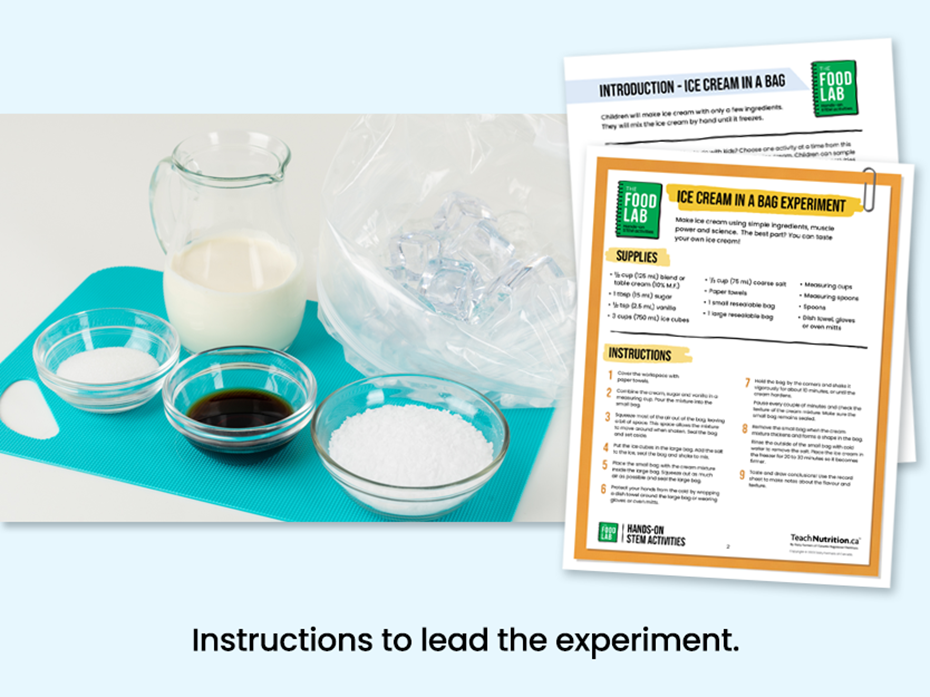 Ingredients to make ice cream in a bag - Instructions to lead the experiment - Food lab program - STEM