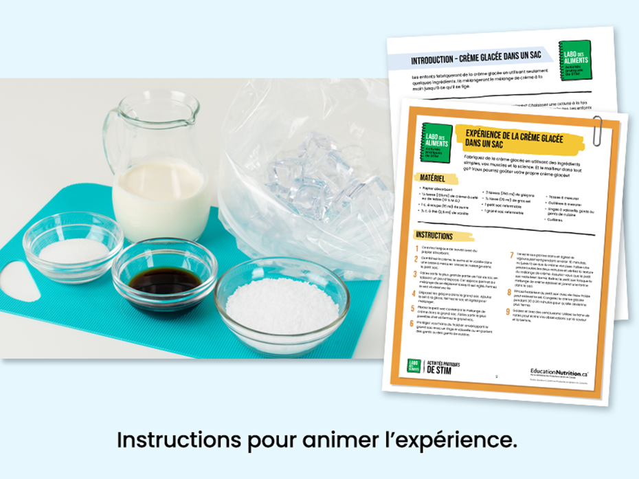 Ingrédients pour faire de la crème glacée dans un sac - Instructions pour animer l'expérience - Programme Le labo des aliments - STIM