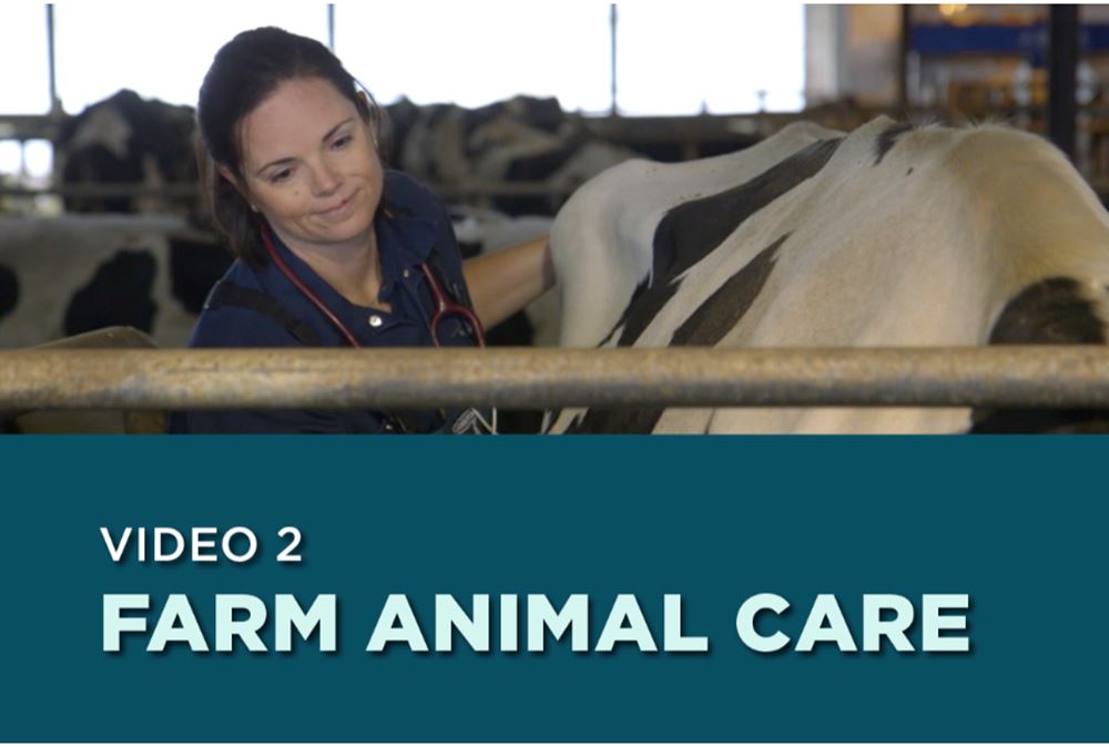 Feeding Canada Lesson 2: Farm Animal Care