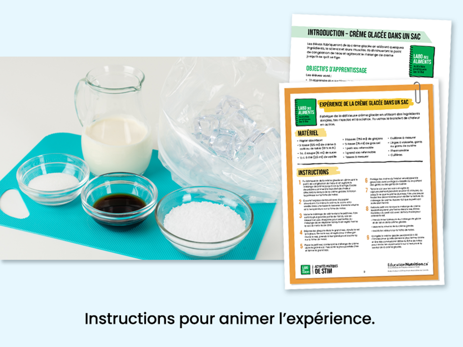 Ingrédients pour faire de la crème glacée dans un sac - Instructions pour animer l'expérience - Programme Le labo des aliments - STIM