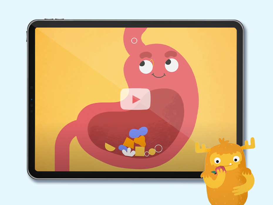 Educational video to introduce the digestive system