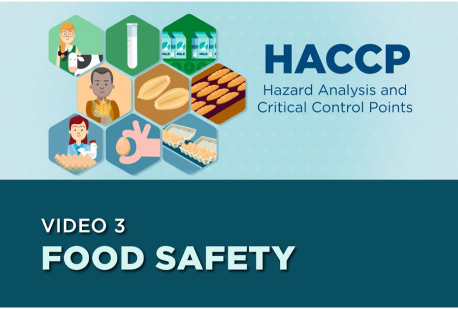 Text on the screen: Video 3- Food Safety. HACCP Hazard Analysis and Critical Control Points