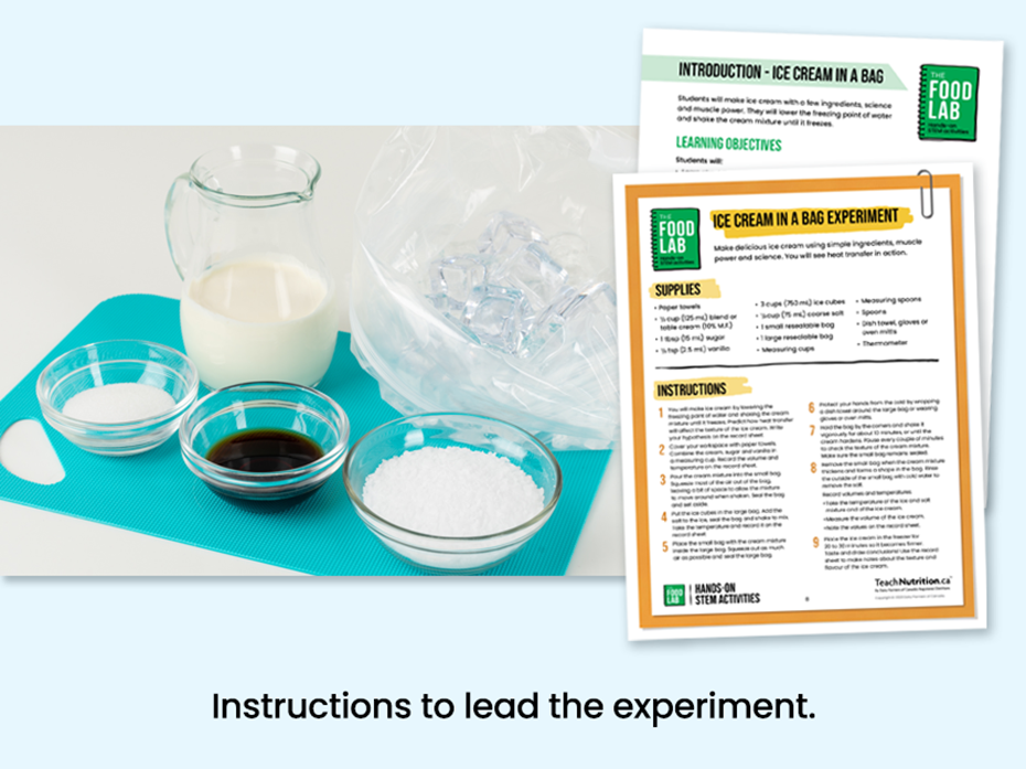 Ingredients to make ice cream in a bag - Instructions to lead the experiment - Food lab program - STEM