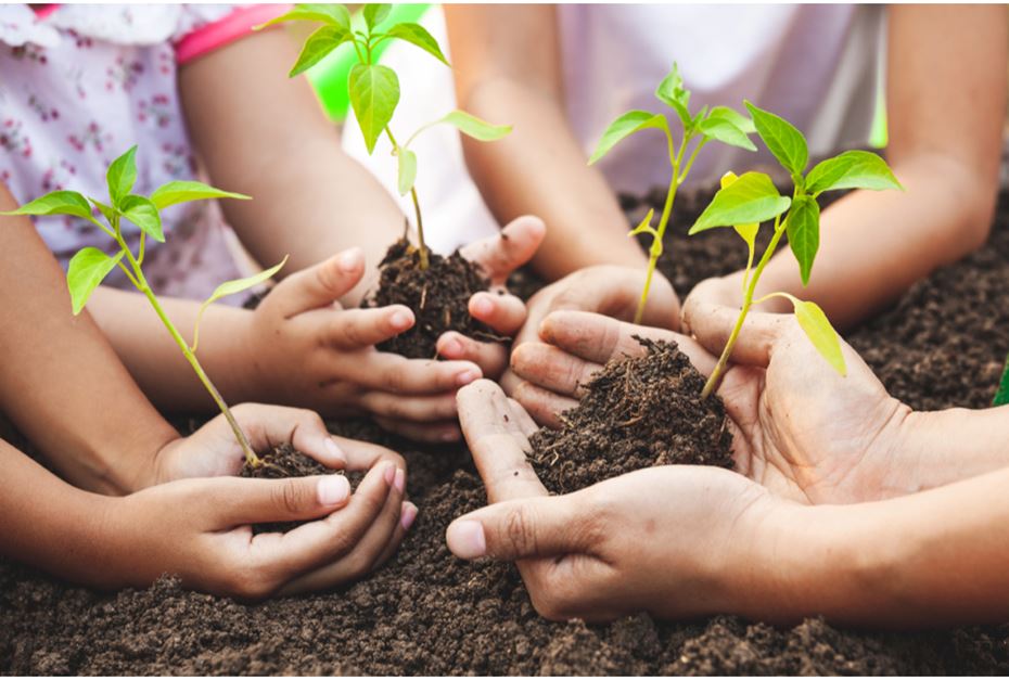 children's hands holding a plant with soil