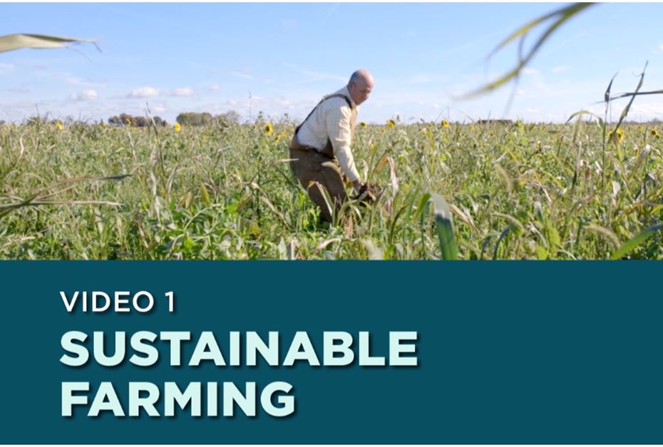 Farmer working in the field. Text on screen: Video 1- Sustainable Farming