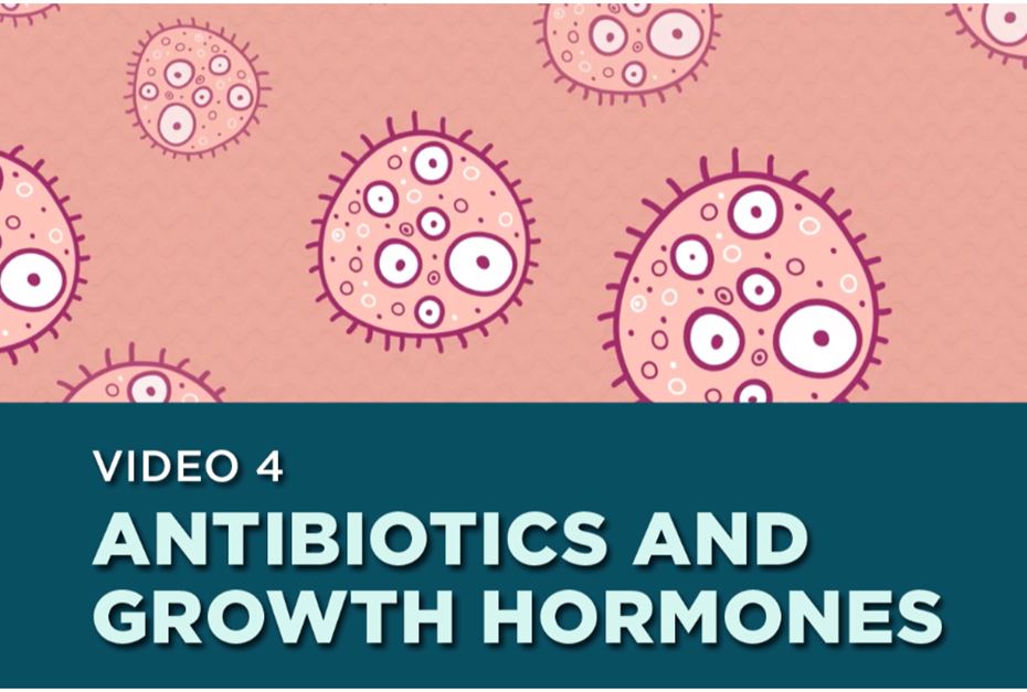 Feeding Canada Lesson 4: Antibiotics and Growth Hormones
