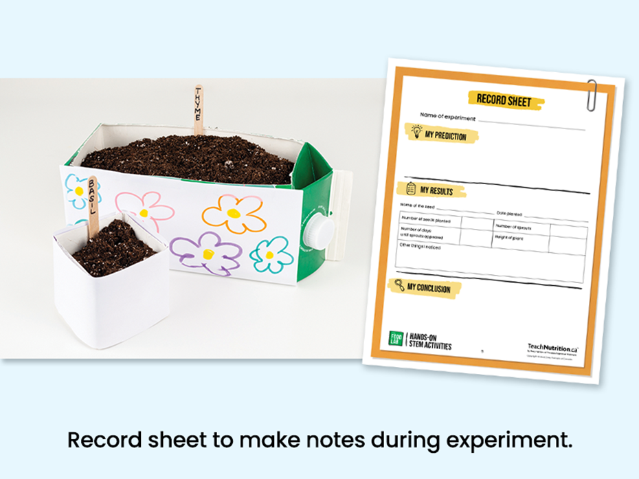 Milk Carton Garden - Record sheet to take notes during experiment - Food lab program - STEM