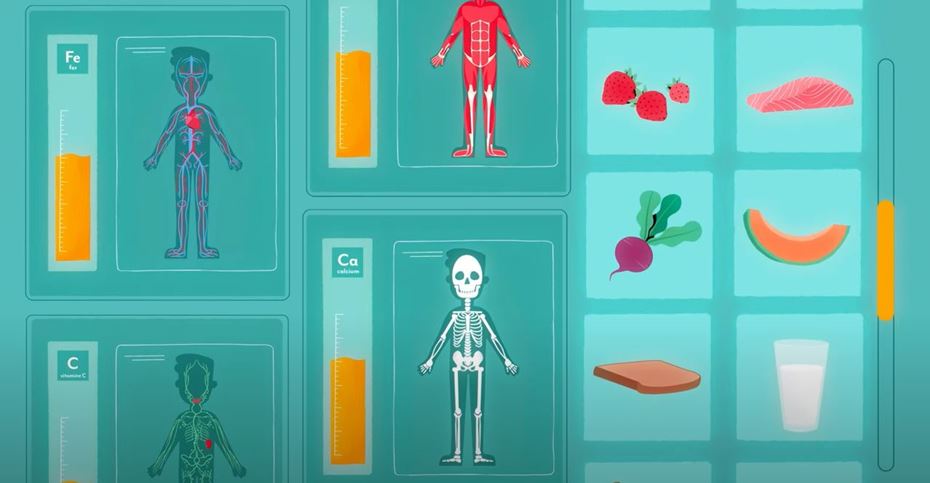 Illustrated skeleton and various food items